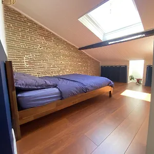 Le Saint Cyp - Briques Et Charme A Toulouse